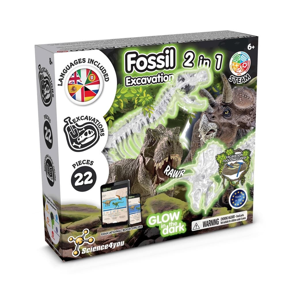 Vista 2